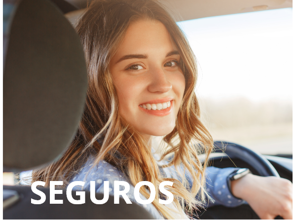 seguros3